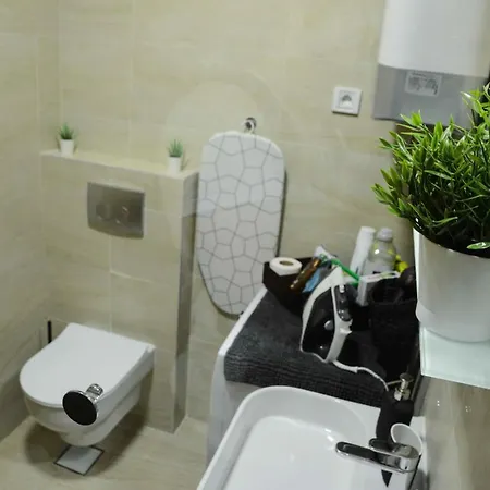 Tesla 70 With Secure Parking In The Garage Novi Sad